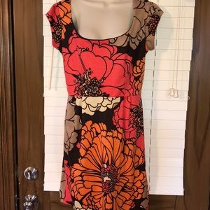 NWT Judith March Dress